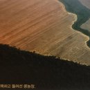 레베농장 이미지