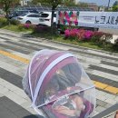 디럭스 이미지
