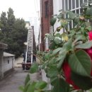 삼덕건축자재 이미지