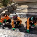 피피쿠스유치원 이미지