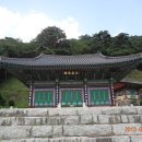 금다래산장 이미지