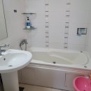 숲속의송어펜션 이미지