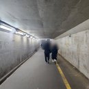 노량진 수산시장 전라상회 대방어 특대 솔직 리뷰 위치, 예약, 초장집 후기