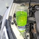 카프라자 이미지