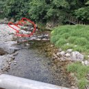 김삿갓데이지펜션 이미지