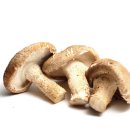 화신농장 이미지