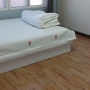 코지민박 이미지