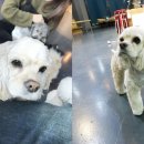 루이야 학교가자 이미지