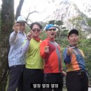 휴대폰명가 이미지