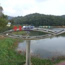 큰골낚시터 이미지