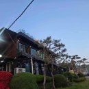 달콤한위로고양