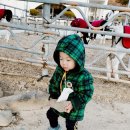 유진목장 이미지