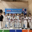 브레인태권도 이미지