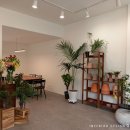 메리골드shop 이미지