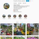 화신식물원 이미지