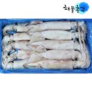 오징어총각 - 거제시 거제중앙로 1751 | 오징어총각