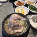 청담 능이백숙