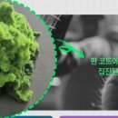 전주이유테니스스포츠