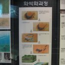 지질박물관 Geological Museum 이미지