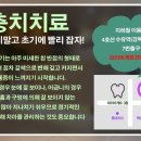 서울닥터박치과의원 이미지