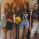 성애문구 이미지