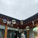 1박2일 안동 여행, 독채 한옥 동림하녹 명가 찜닭/ 옥거리 / 남실네/ 안동 하회마을 라라룬 카페