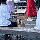 9월, 경주에 가다 1 (경주호텔공간-대릉원-타베르나-황리단길-경주단골식당-골든카니발페스티벌-첨성대)