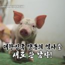 데이 연