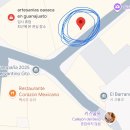 코코세탁소 | 멕시코 자유여행 7일차 - 코코 그 자체, 낭만의 과나후아토