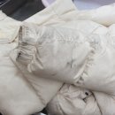 알파명품크리닝 이미지