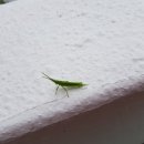 당현천근린공원앞 이미지