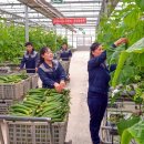 중평농장 이미지