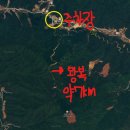 자작나무숲 가는 길 | [인제] 겨울 인제 원대리 자작나무숲 난이도 준비물 포토존 후기