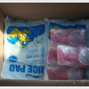 행복한 멍이세상 이미지