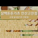 삼백돈돈가츠 이미지
