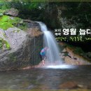 꿈꾸는유배지늡다리 이미지