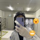 하시모토겐죠미장 이미지