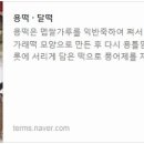 달떡 - 대덕구 한남로38번길 16 | 달떡