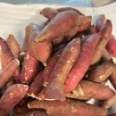 황토축산 | 아지트팜 익산 무농약 베니하루카 고구마 후기 : 맛있게 먹는방법부터 보관법까지