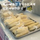 홍천종합운동장 | 홍천 찰옥수수축제 기본 정보 리뷰 판매 가격 행사