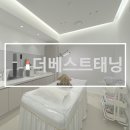 더 베스트 태닝