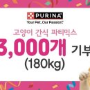 파티파티 이미지