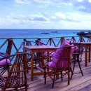 하쿠나마타타 이미지