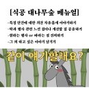 식공 대나무 숲 오픈! 이미지