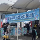 뚝섬플레이스 | 뚝섬 한강수영장 아이랑 내돈내산 꿀팁 후기 주차 음식 썬베드대여 야간개장
