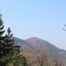 천주산 만남의 광장 이미지