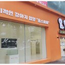 아기천사애견샵