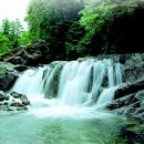 번암죽림정사로 이미지