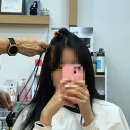망한 붙임머리 살리기, 양주 옥정동 붙임머리 [헤어포인트]