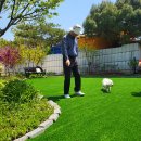 곡성 기차마을 애견동반펜션 이미지